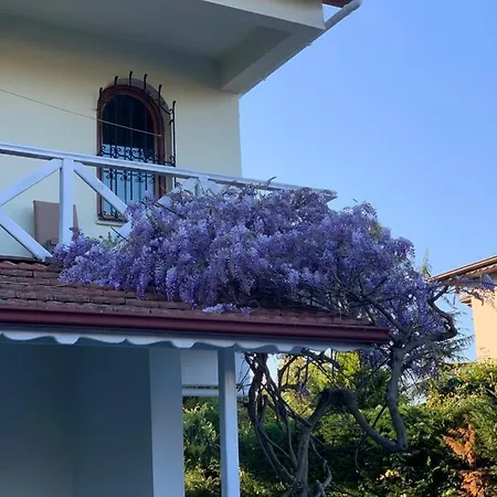 Lacus Cadde Villa *